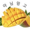 테스트
